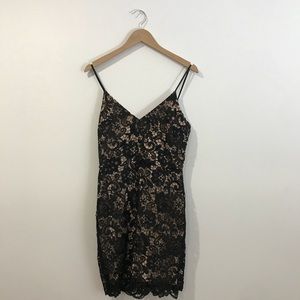 Express Dresses - Black Lace Express Dress Express Dresses - Black Lace Express Dress